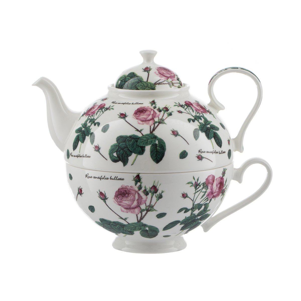 Jameson Roses Tea for One Englische Rose Brillantporzellan 700ml | Jameson & Tailor